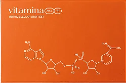 Intracellular NAD+ Testing Kit