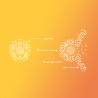 The Power of Antioxidants: How Liposomal Vitamins Can Supercharge Your Health